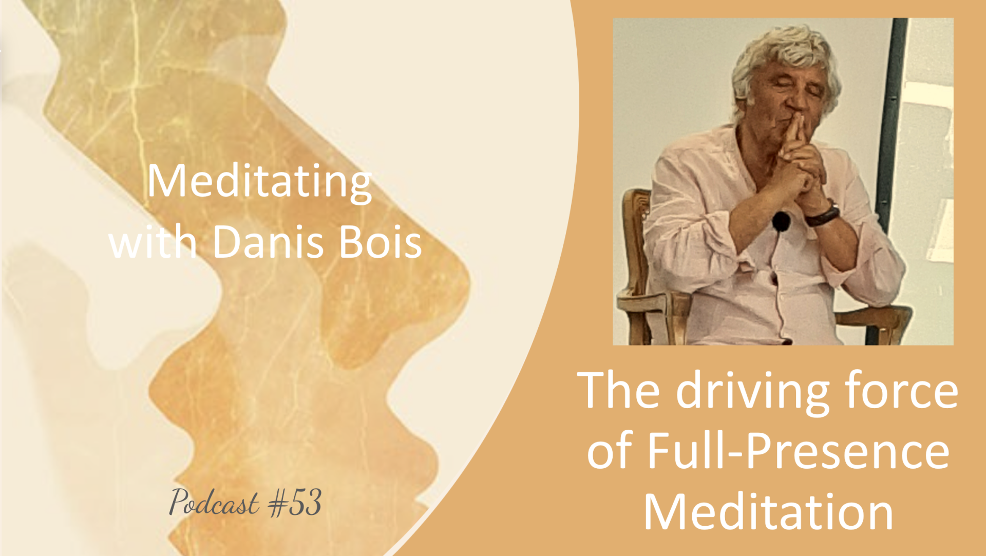 #53 – The driving force of Full-Presence Meditation￼